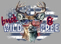 Wild & Free